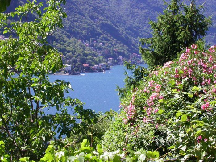 Апартаменты Sonia - Musica & Aperol Panorama-Fewo Pognana Lario Экстерьер фото